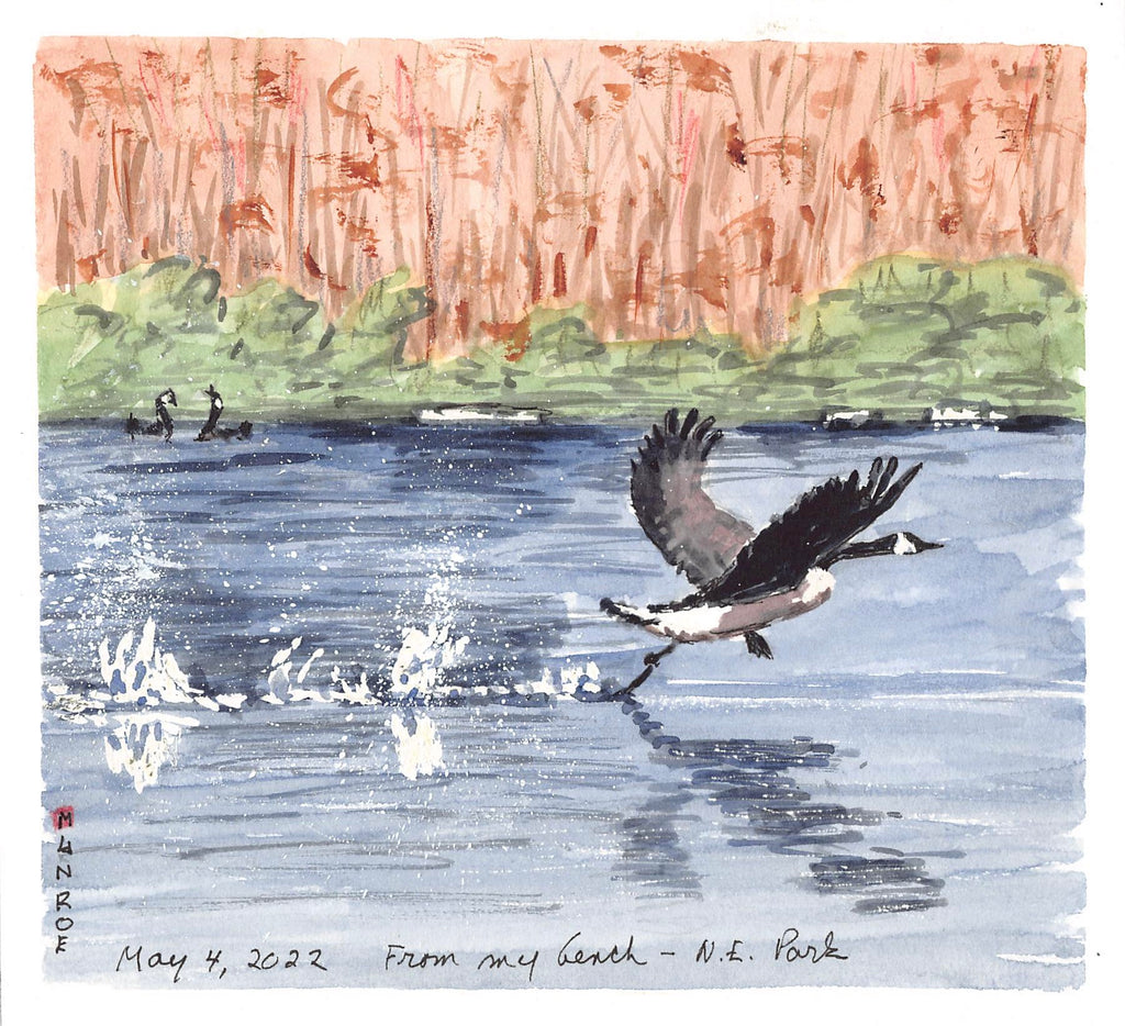 Canada Geese 8.25"x9" Watercolour on Paper