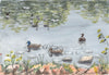 Mallard Ducks 7"x10" Watercoiour on Paper