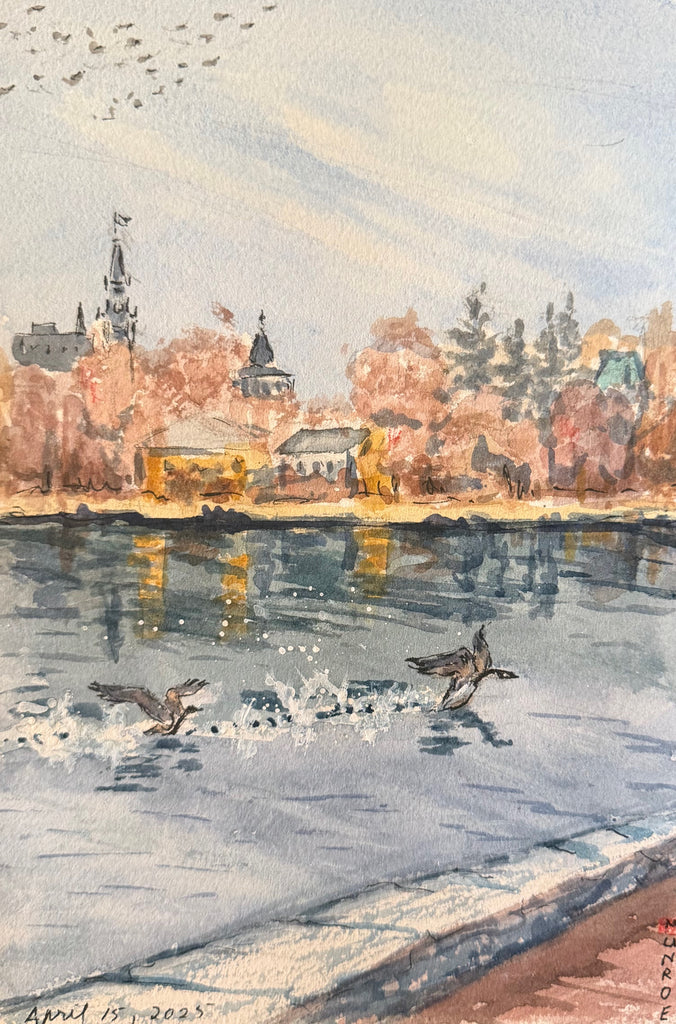 A Noisy and Splashy Take-off 10"x7" Watercolour on Paper