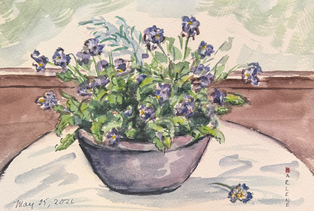 Pot of Flowers on the Cafe Table 7"x10" Watercolour on Paper