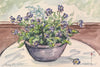 Pot of Flowers on the Cafe Table 7"x10" Watercolour on Paper