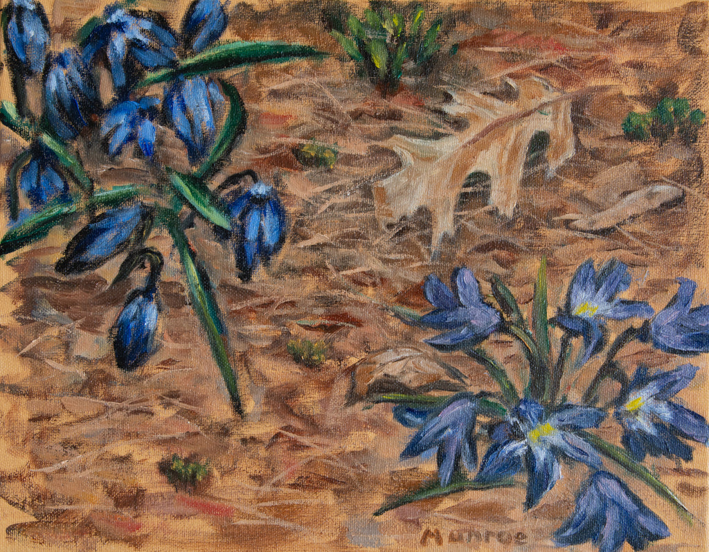 "Springtime, New Scilla Flowers and Oak Leaf from Last Fall."    11"x14"  2020